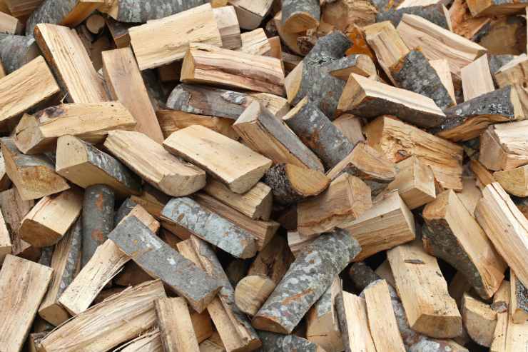 Una legnaia con legna da ardere