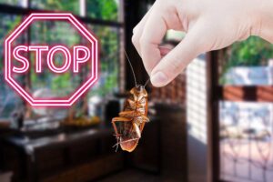 mano con scarafaggio e scritta stop in rosso