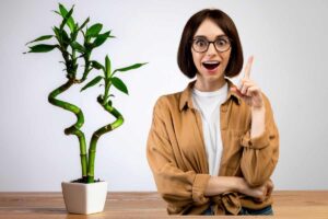 donna con dito alzato per idea e vicino vaso con bambu della fortuna