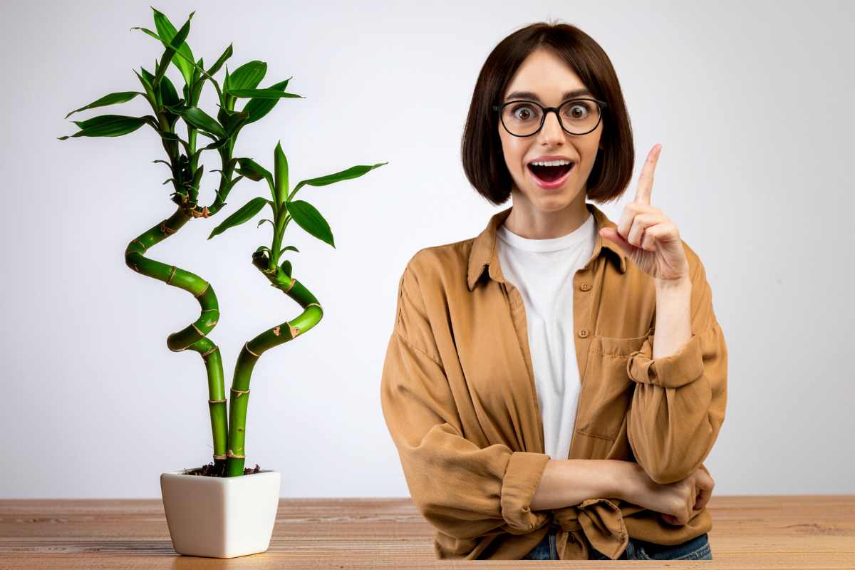 donna con dito alzato per idea e vicino vaso con bambu della fortuna