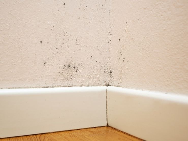 piccole macchie di umidità sulla parete