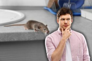 topo sul piano di lavoro e uomo che pensa