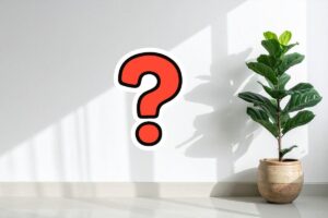 parete bianca di casa con punto interrogativo rosso e una pianta in vaso