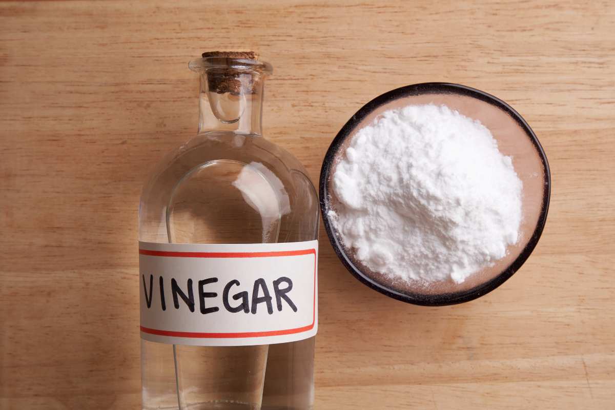 aceto in bottiglia e ciotola con bicarbonato di sodio 