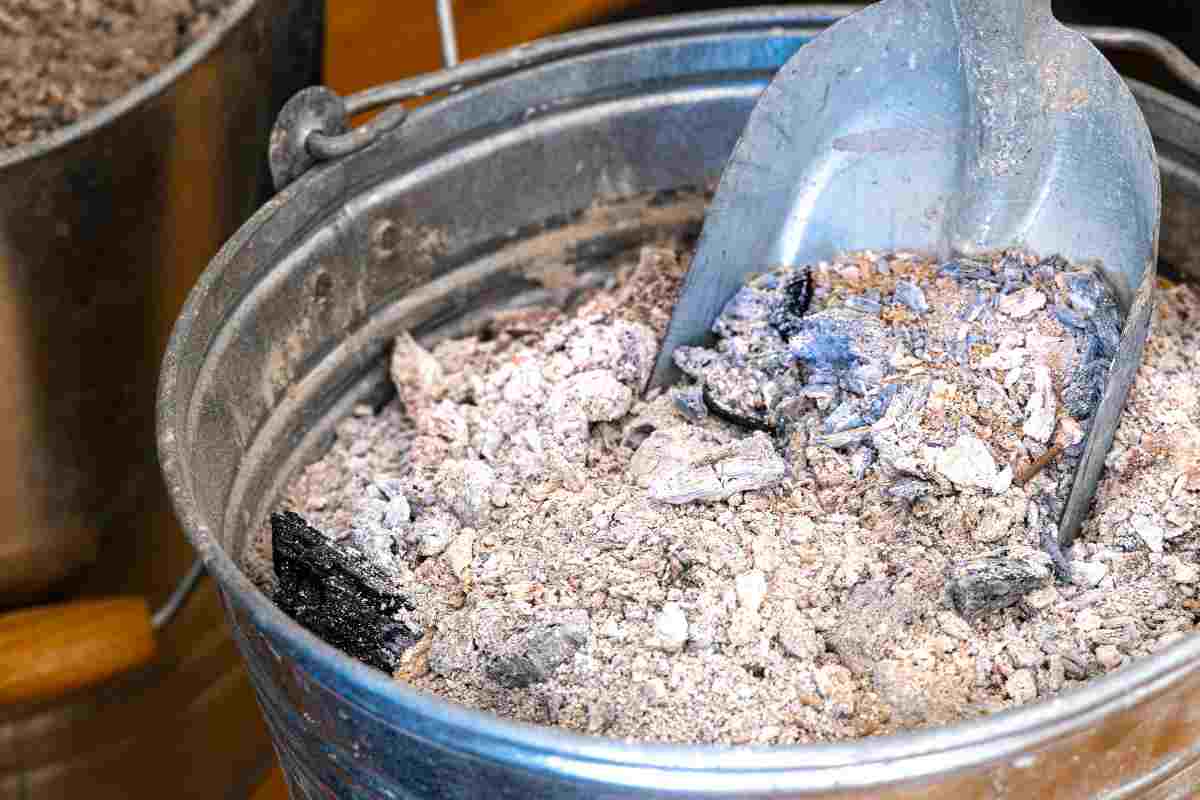 cenere dentro contenitore grigio 