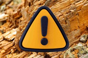 legno mangiato dai tarli e simbolo attenzione in giallo