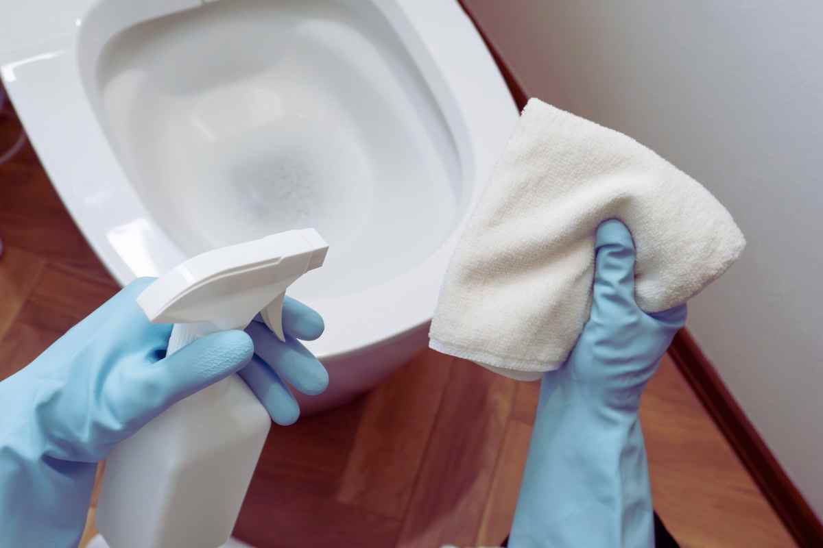 mani che reggono un panno e uno spruzzino e sullo sfondo c'è un wc