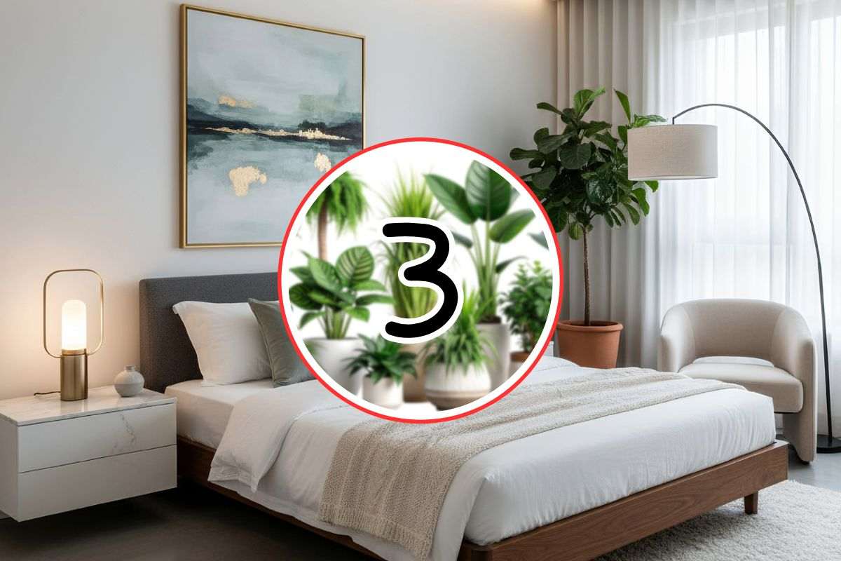 ampia camera da letto, con delle piante in primo piano e numero 3
