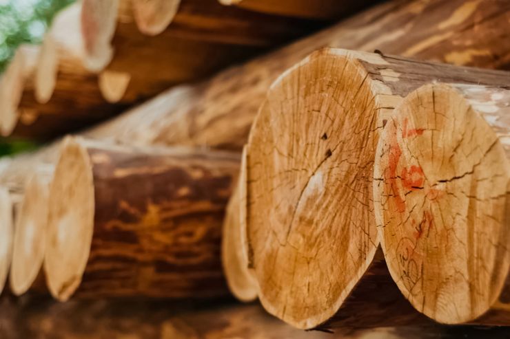 Della legna in una legnaia