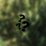 Una pianta sfocata e dei punti interrogativi
