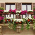 Un balcone co vasi pieni di aiuole in fiore