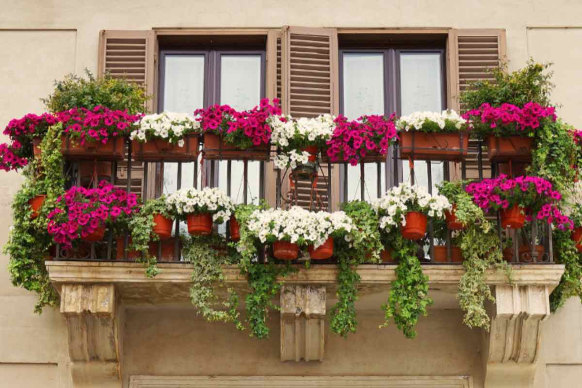 Un balcone co vasi pieni di aiuole in fiore