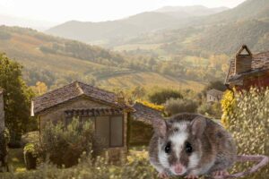 casa di campagna e topolino