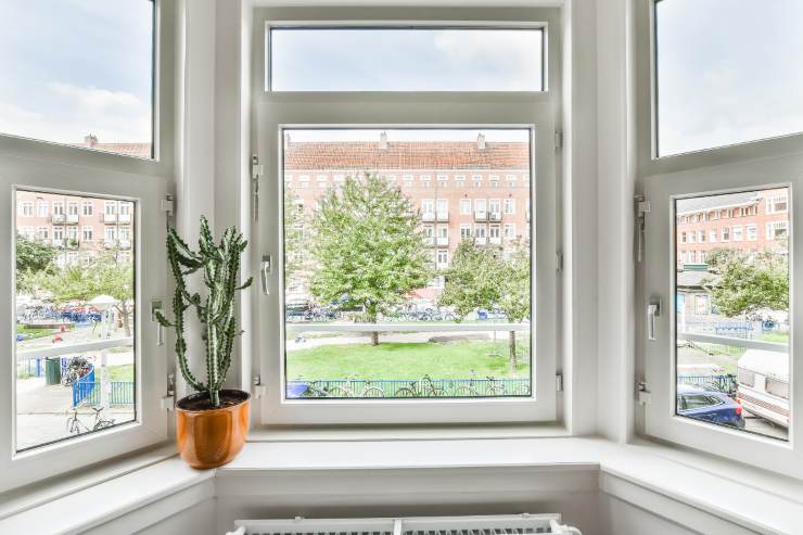 Una finestra vista da lontano con sopra una pianta