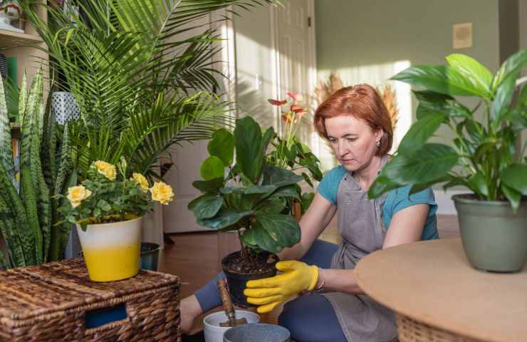 donna insieme alle sue piante