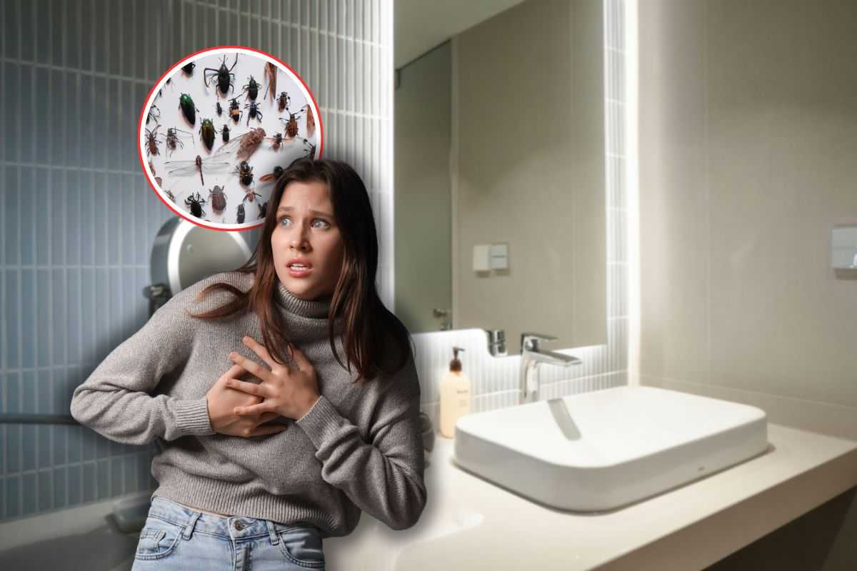 bagno di notte, insetti in icona rossa e donna spaventata