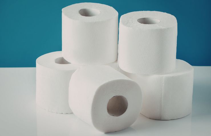 rotoli di carta igienica 