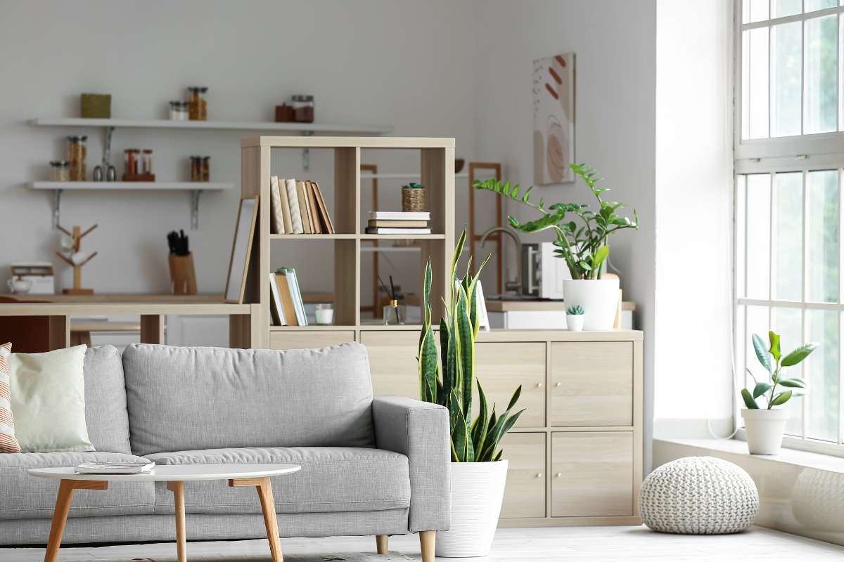 Un soggiorno ben arredato con mobili bifacciali