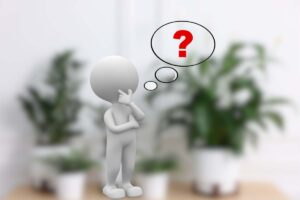 piante in casa con omino e punto interrogativo