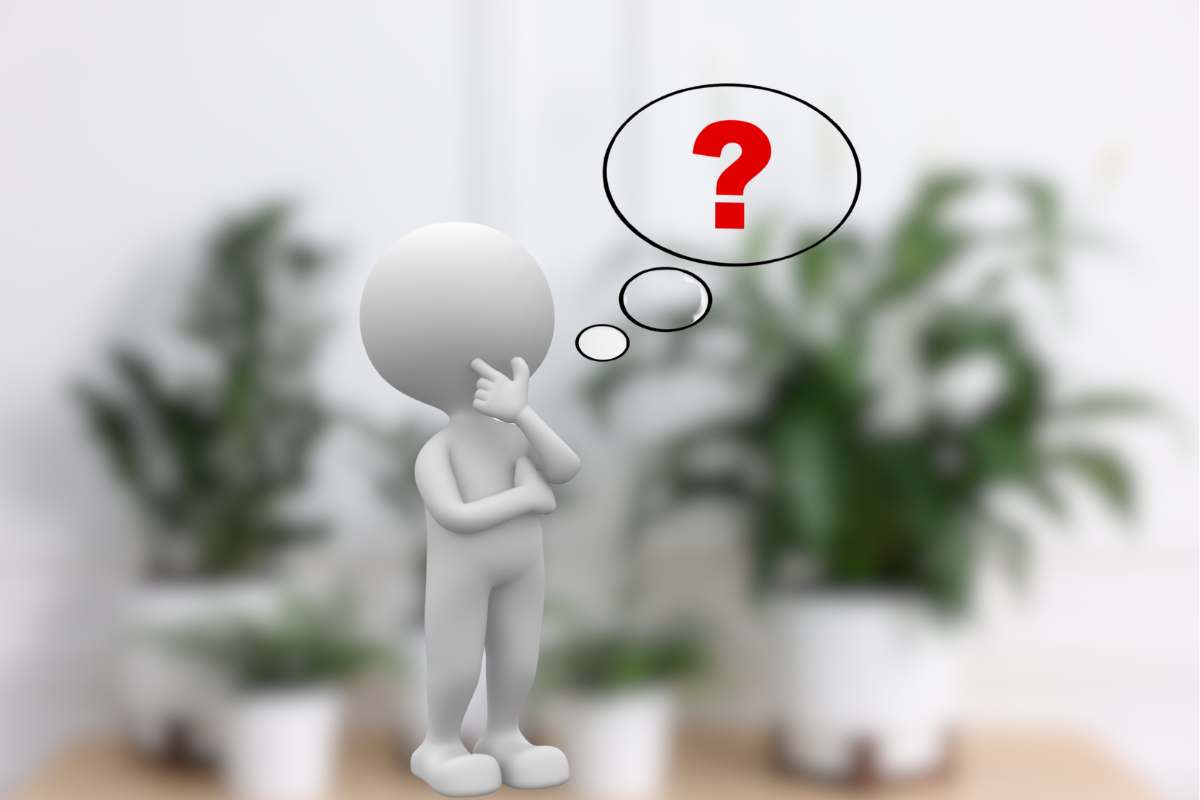 piante in casa con omino e punto interrogativo