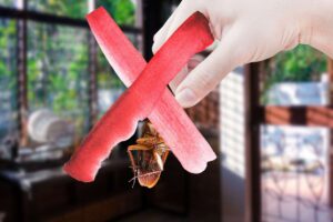 donna con in mano uno scarafaggio ed x rossa su di lui