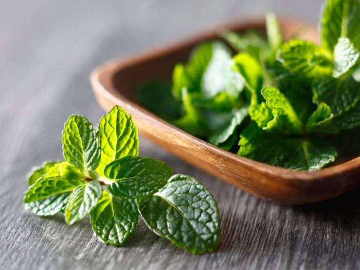 ciotolina in cui sono sistemate delle foglie di menta