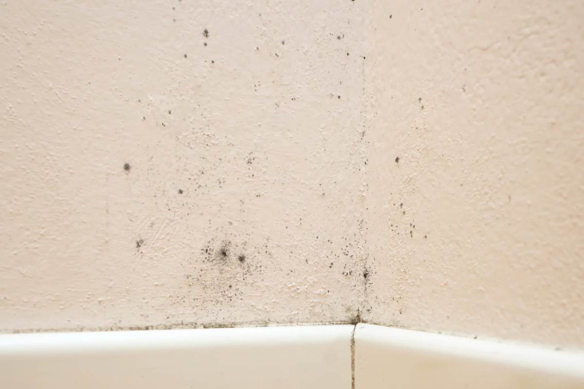 muro con evidenti segni di umidita