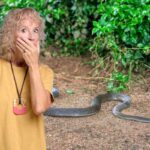 Donna spaventata con un serpente vicino ad una siepe