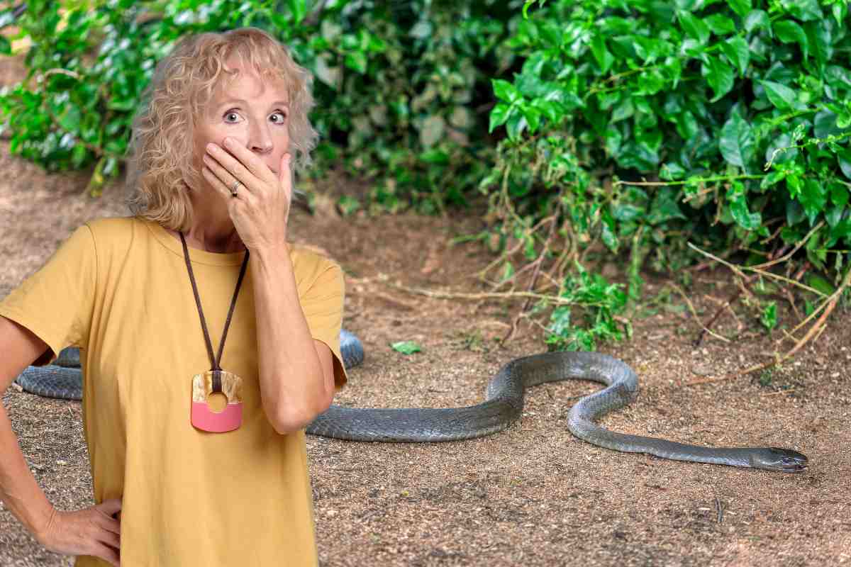 Donna spaventata con un serpente vicino ad una siepe