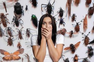 Diversi insetti ed una donna in primo piano spaventata