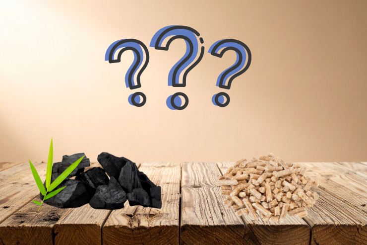 Un tavolo con sopra carbonella sulla sinistra e pellet sulla desta e sopra dei punti interrogativi 