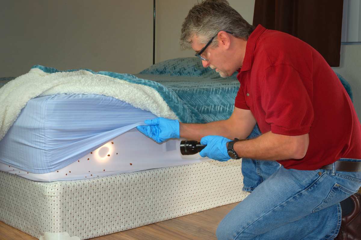 Un uomo con guati e torcia che controlla un materasso invaso dalle cimici
