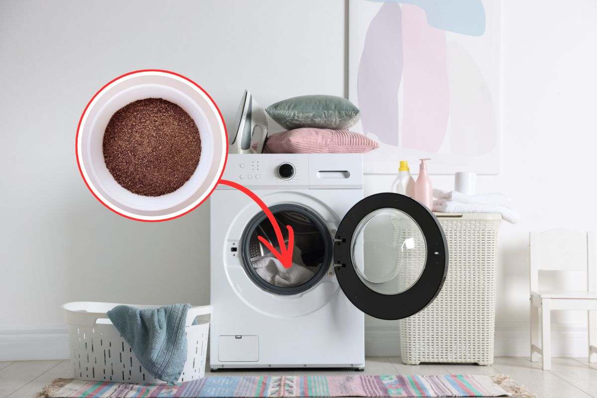 pepe nero in lavatrice