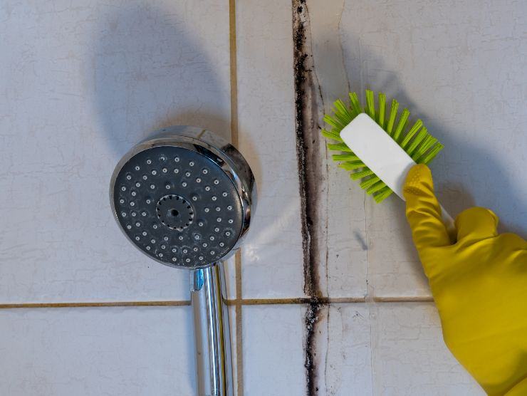 persona con guanti e spazzolina che pulisce le fughe ammuffite della doccia