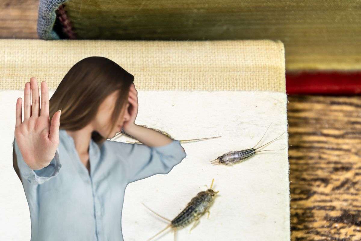 pesciolini d'argento e donna che si copre il viso con le mani