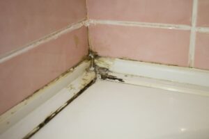 muffa negli angoli della doccia