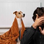 cane con la coperta per il freddo con dietro termosifone e uomo con mano che fa segno di no