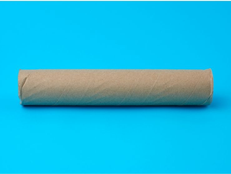 rotolo cartone scottex