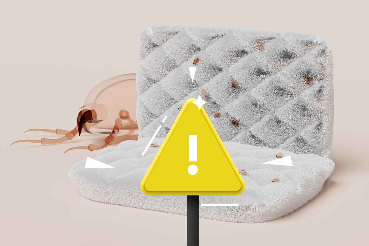 cuscino con acari e triangolo giallo per attenzione