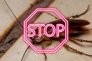 scarafaggio e scritta stop in rosso e bianco