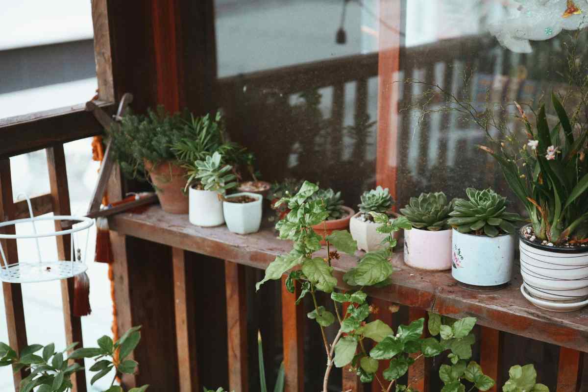 vasi su alzatina di legno 