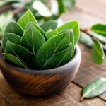 ciotola con foglie di alloro