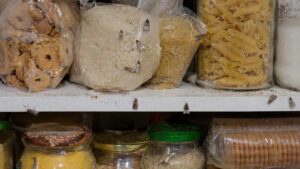 L'invasione delle farfalline della farina finisce qui: il trucco dell'alloro e del barattolo che le tiene lontane per sempre