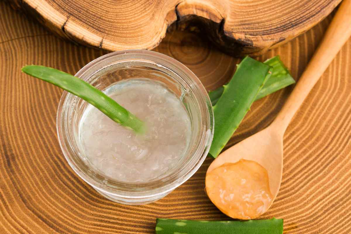 vasetto con gel di aloe, mestolo in legno 