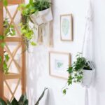 Una casa moderna con delle piante appese al muro