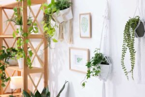 Una casa moderna con delle piante appese al muro