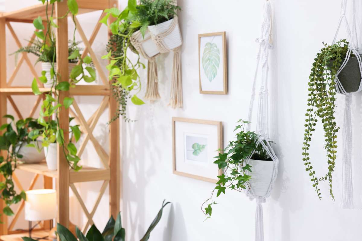 Una casa moderna con delle piante appese al muro