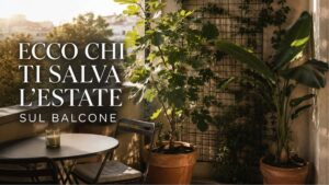 Le piante sul terrazzo non fanno solo scena: alcune abbassano davvero la percezione del caldo