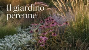 Il giardino eterno: le varietà rigogliose che sopravvivono alla siccità estiva e all'inverno più rigido.