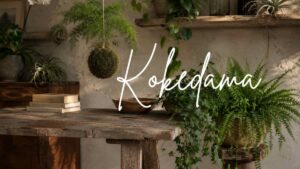 Kokedama e piante sospese: la soluzione aerea per riempire gli angoli vuoti della casa senza togliere spazio